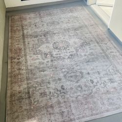 Area Rug (5 x 7 1/2)