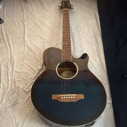 Acoustic Guitar 