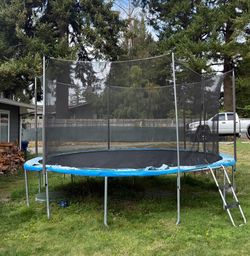 Trampoline with Safety Net and Ladder