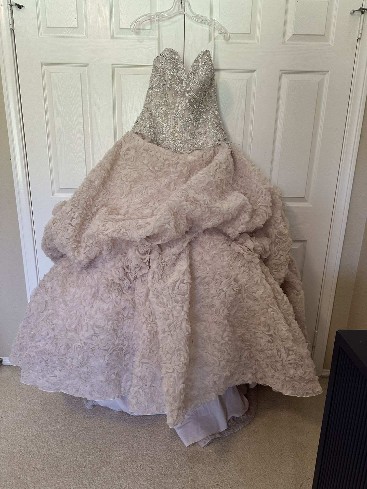 Stunning Champagne Ball Gown 