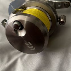 Saltiga 15h