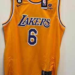 Lebron James Jersey #6