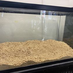 40 Gallon Terrarium & 20 Gallon Aquarium
