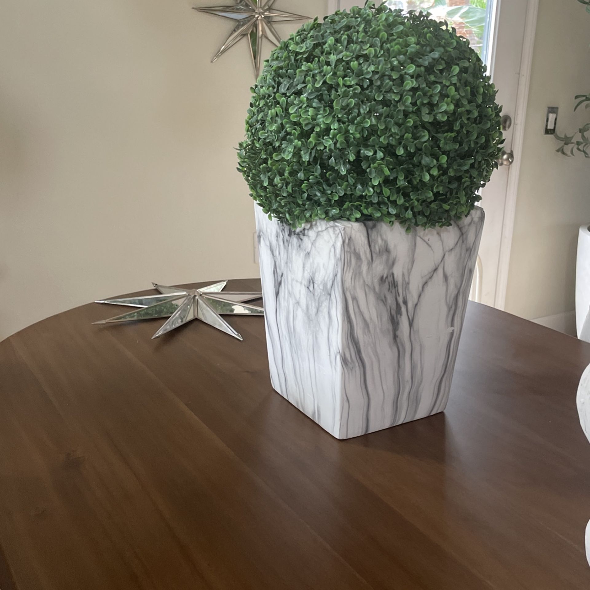 Topiary Vase