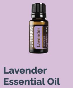 Lavander OIL