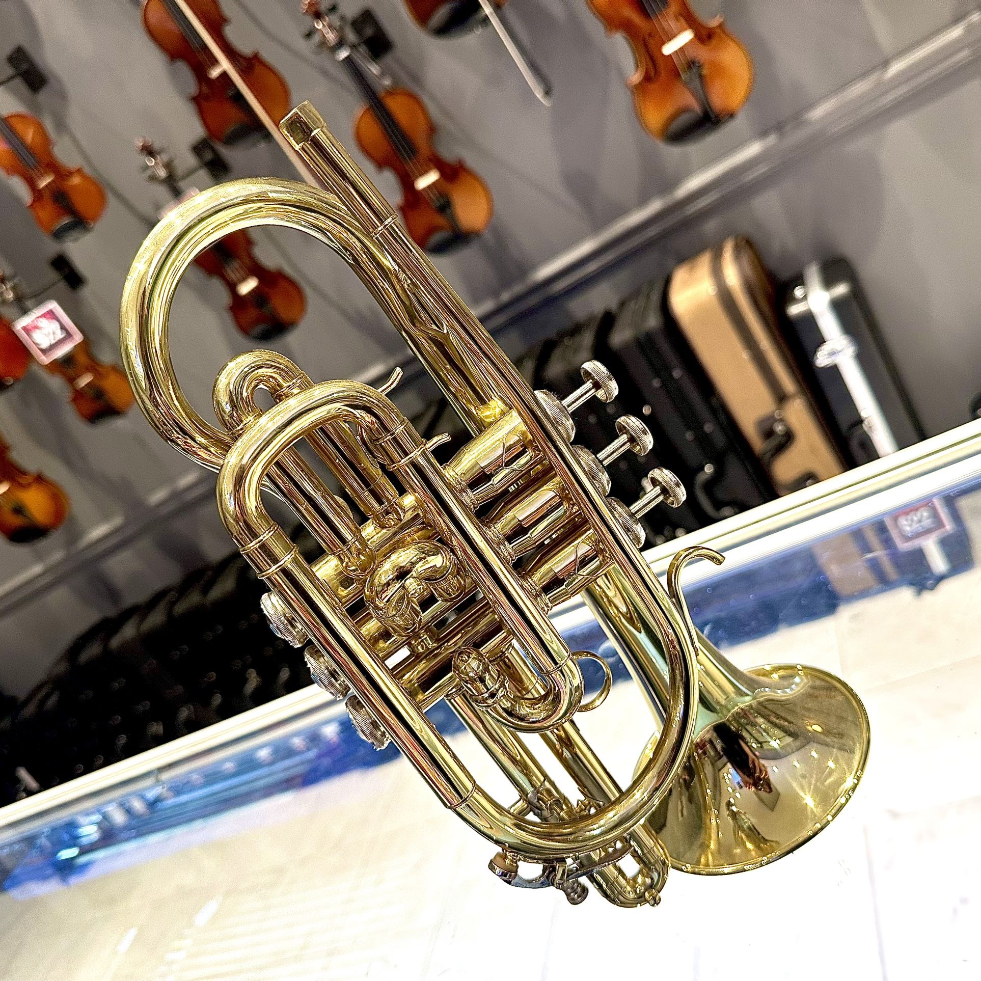 Summer Student Sale: Fugue F440 Bb Cornet