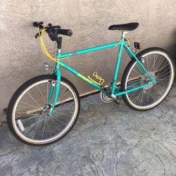 Giant mountain bike in excellent condition  