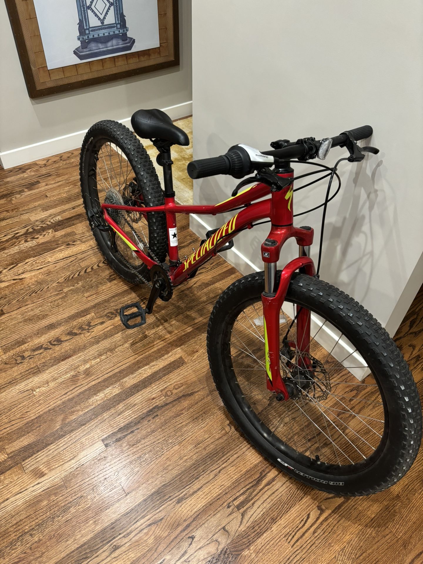 Specialized Fat Tire Kids Bike