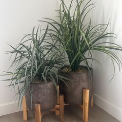 Faux Plant 