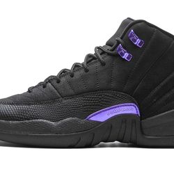 Jordan 12s Dark Concord