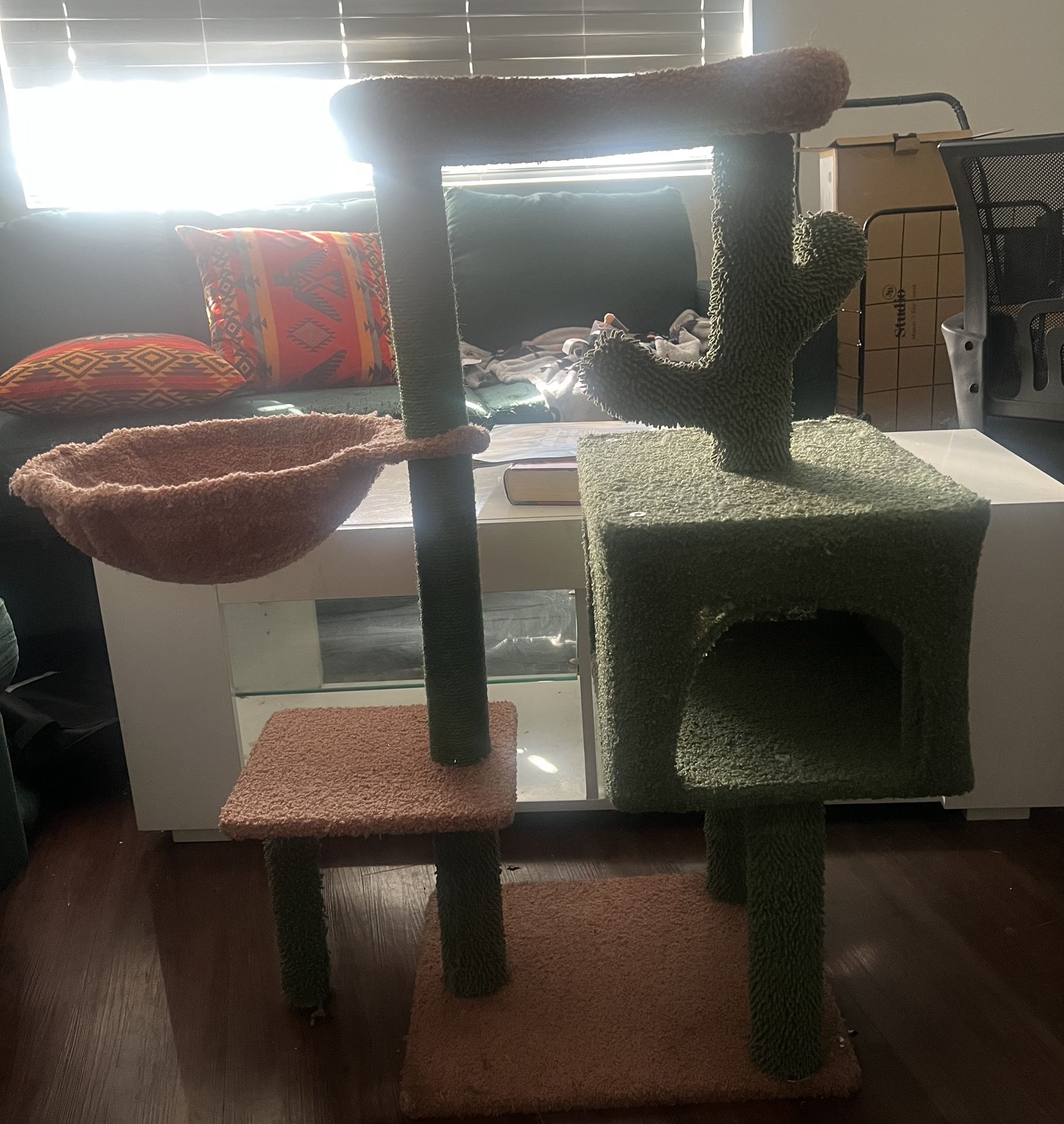 Cat Tree Pickup Palm Desert Cash Only Price Firm