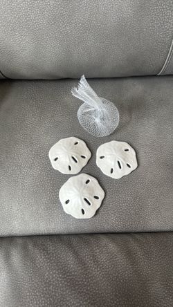 New 3 Sand Dollar Decorations