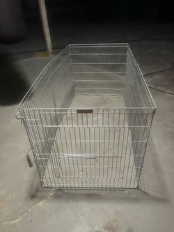 Dog Crete