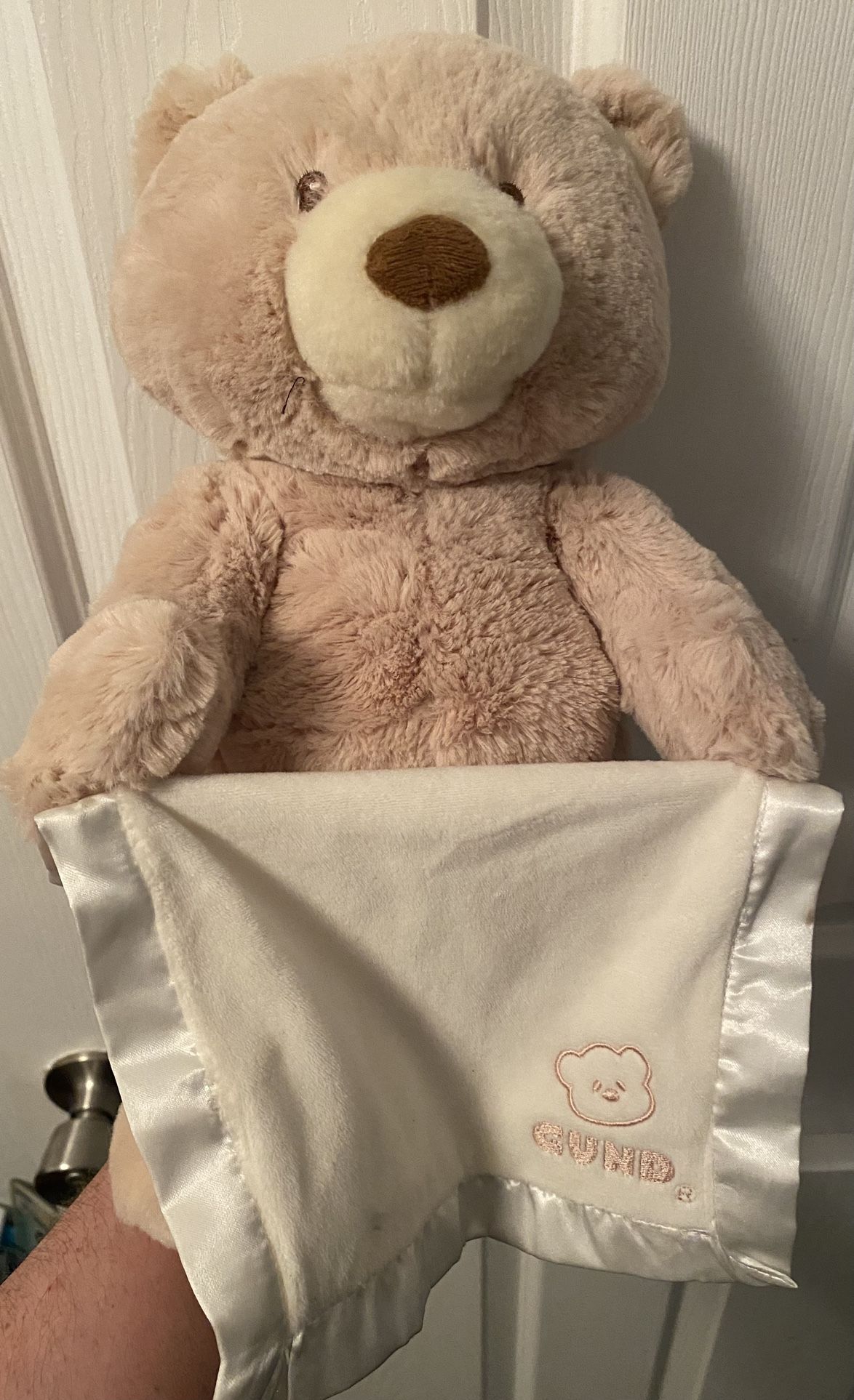 Baby Gund Peek A Boo Toy Bear