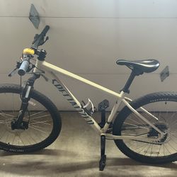 Specialized Adult Bike