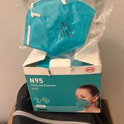 N95 Mask