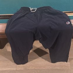 Champions medium navy blue Authentic Athletic wear pants