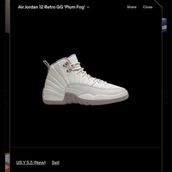 Air Jordan 12 Retro GG 'Plum Fog'