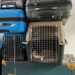 Dog Crates 