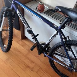 Men’s Mountain Bike 21 Speed 