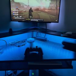 LG 1440p 240hz Oled Monitor