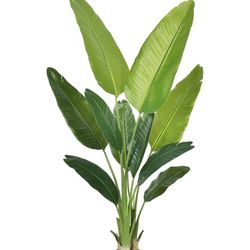 Bird Of Paradise, Artificial Plant