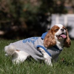 Vibrant Life Pet Apparel Tshirt