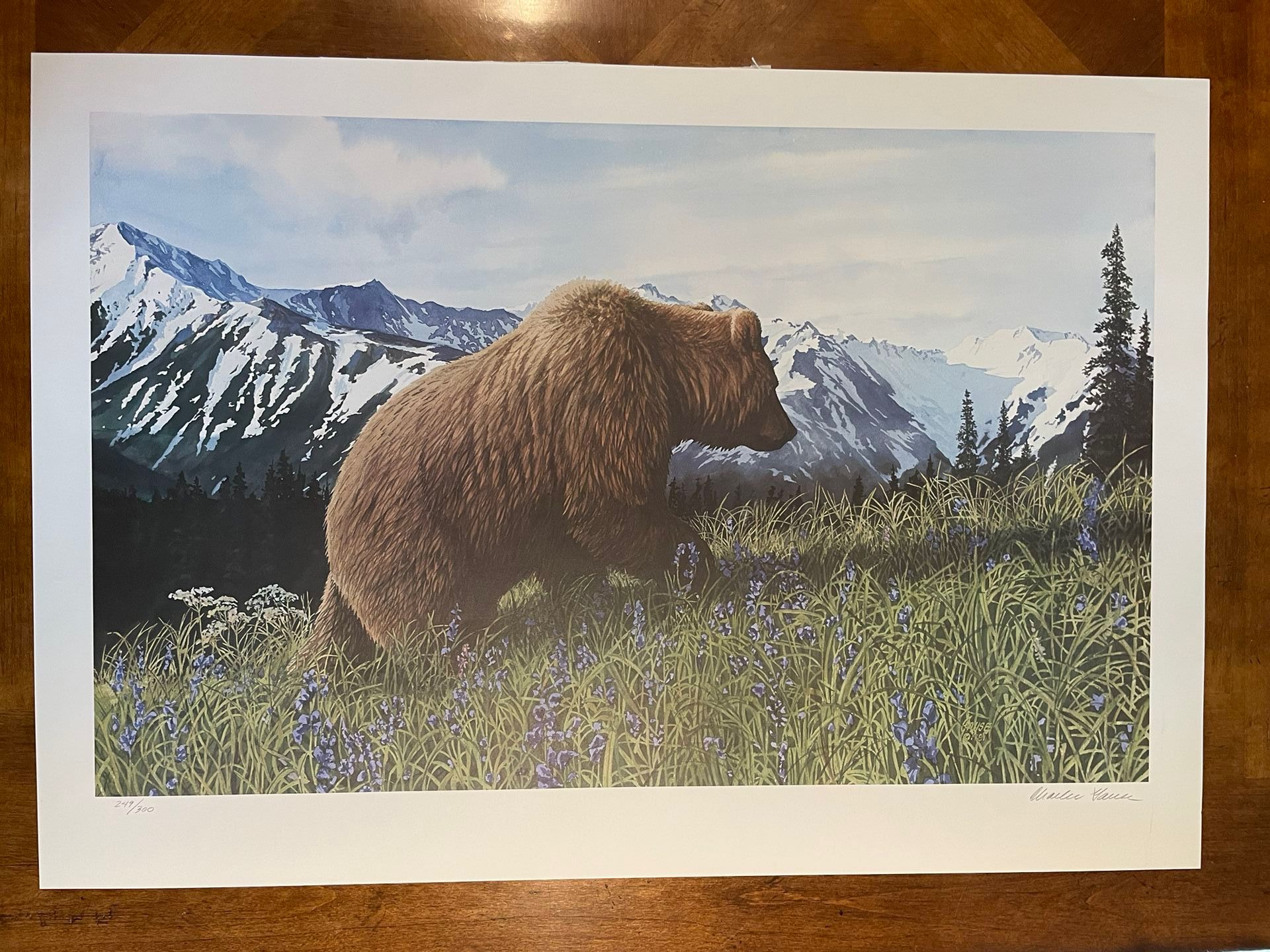 Charles Gause Lithograph Signed Numbered - Bear 19x24