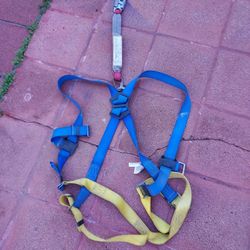 Full body harness
