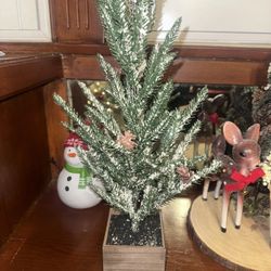 Tree Christmas 