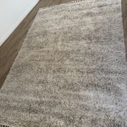White and Gray Shag Rug