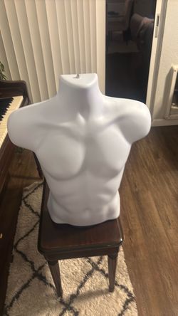 Torso mannequin new 30 unit