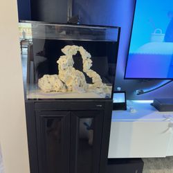 Rimless Glass Aquarium w/ APS Cabinet Stand – Complete Setup