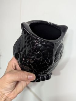 Cute owl pot Great fall/ Halloween decoration .... hablo Espanol