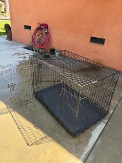 Dog Cage