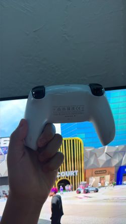 ps5 controller