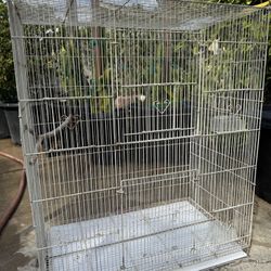 Bird Cage 
