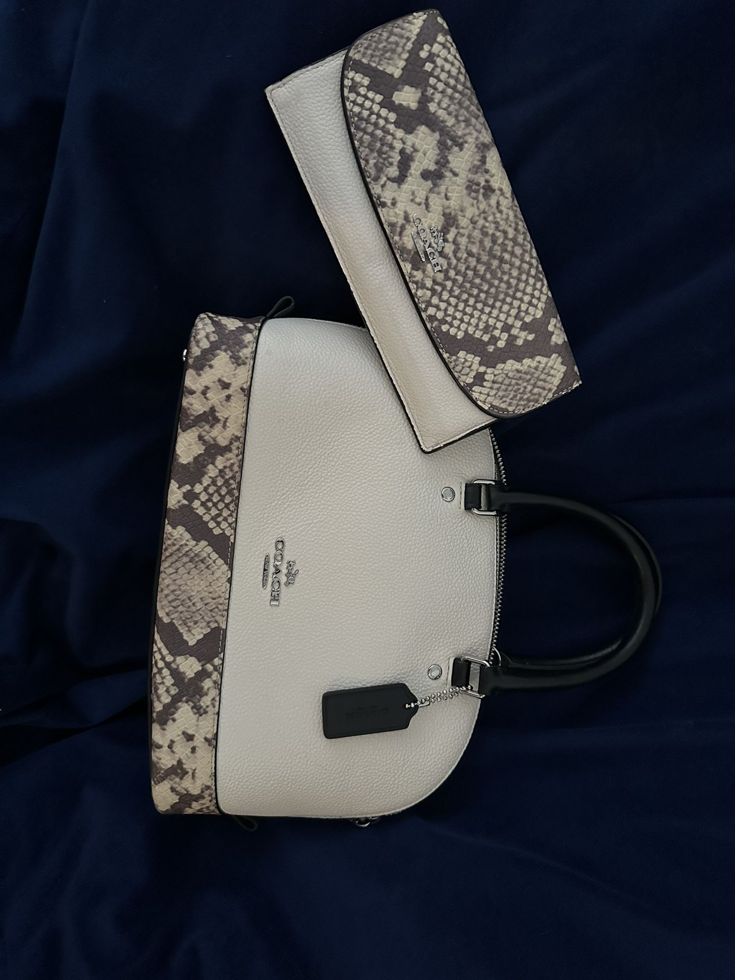 Coach Purse And Wallet