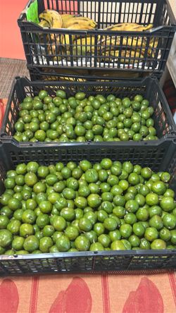 Jobillos Jocotes - ciruelas $11.00 x pound