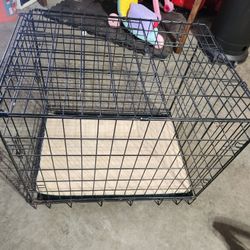 Dog Cage