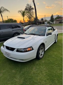 2001 Ford Mustang