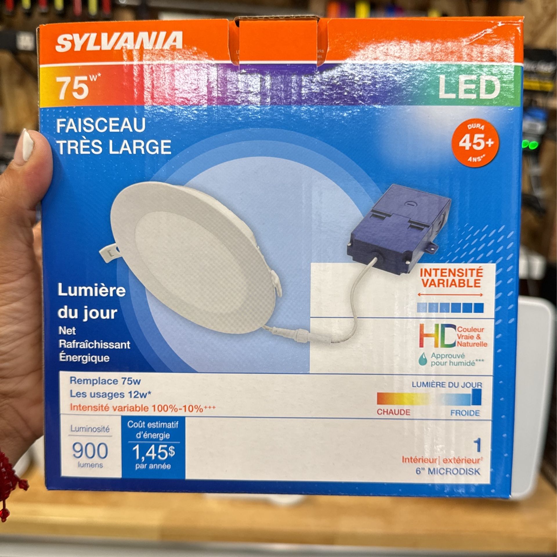 Sylvania LED Recessed Lights