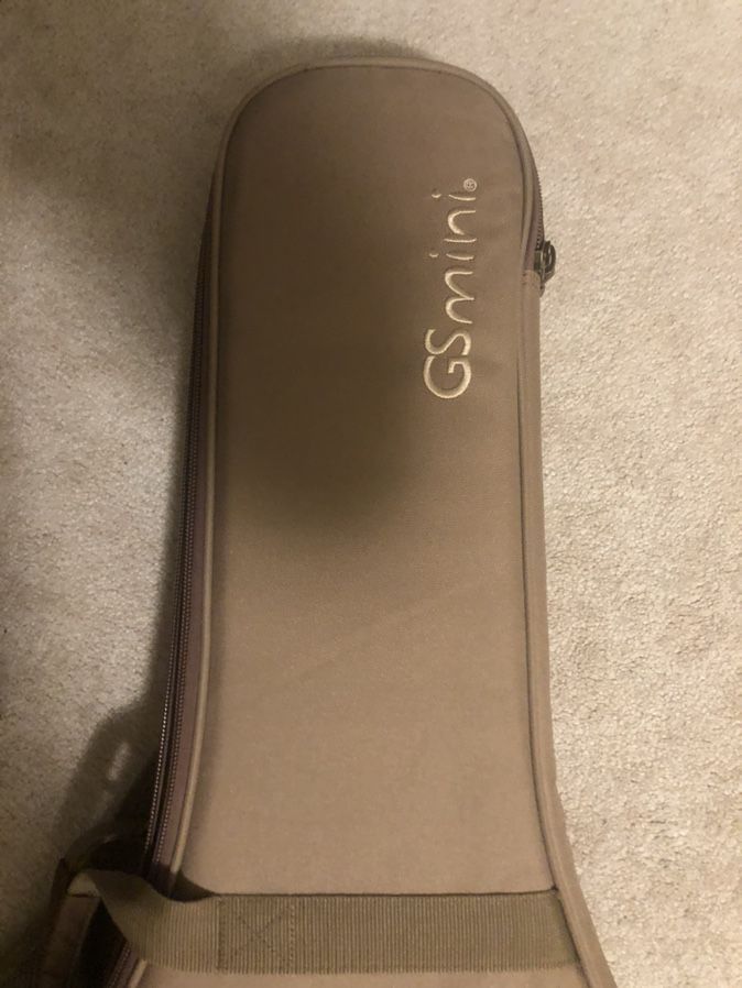 Taylor GS mini acoustic guitar case 3/4