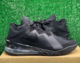 Nike LeBron Basketball Sneakers