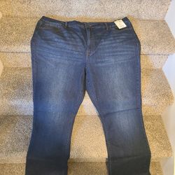 Terra Sky Plus Size Jeans-2 Pairs
