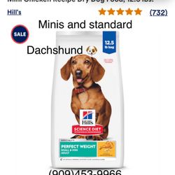 Dachshund Puppy Food