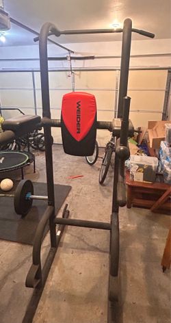 Weider Power Tower