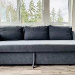 Ikea Friheten Sleeper Sofa