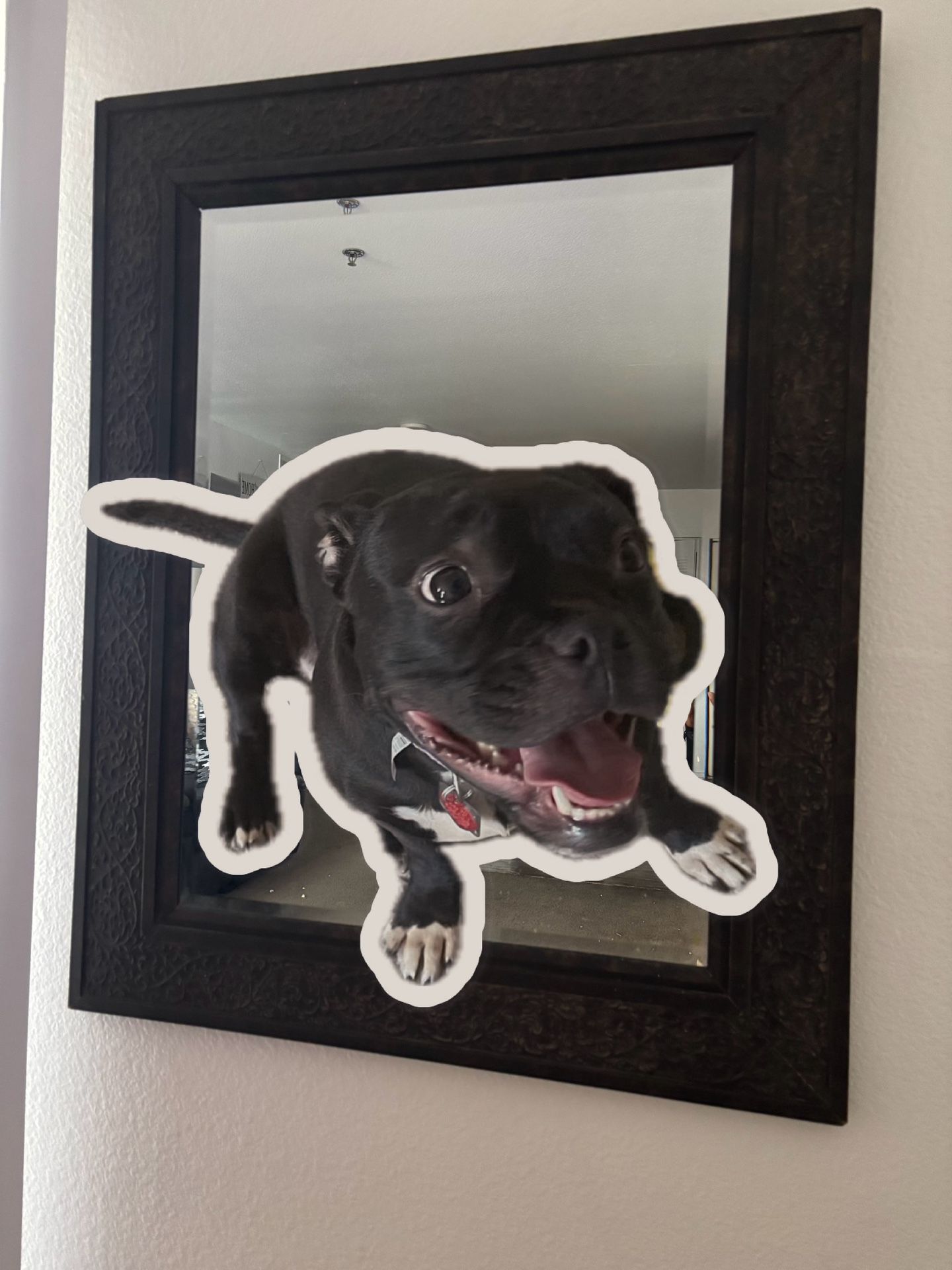 Wall Mirror with Brown Frame