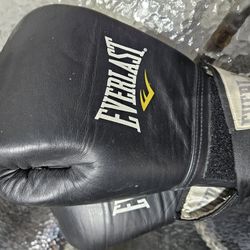 Everlast Boxing Gloves